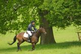 horse and rider running 1
